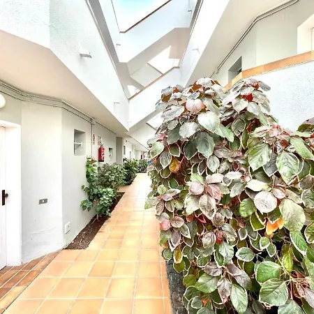 Estudio En Los Cristianos A Pocos Minutos De Playa, Wifi Y Piscina En Tenerife Sur شقة